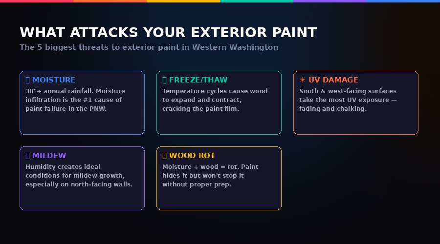 The five biggest threats to exterior paint in Western Washington