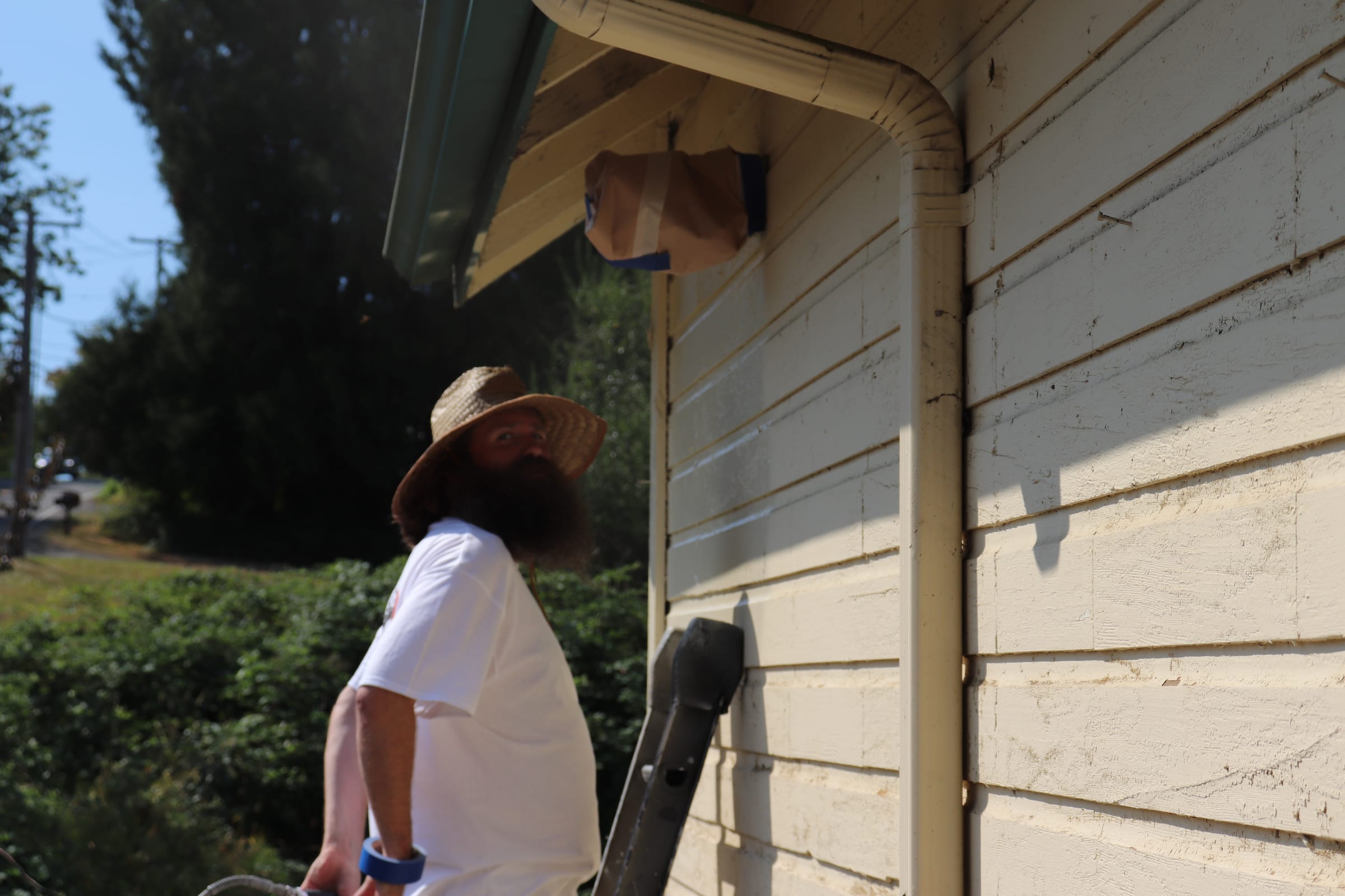 Bearded painter in a straw hat looking up at the eave of a building